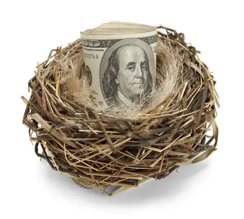 https://www.dreamstime.com/stock-photo-nest-egg-image29376300